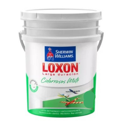 10 lts Loxon Cielorrasos Mate Blanco