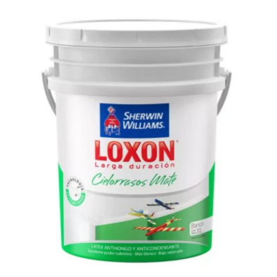 20 lts Loxon Cielorrasos Mate Blanco