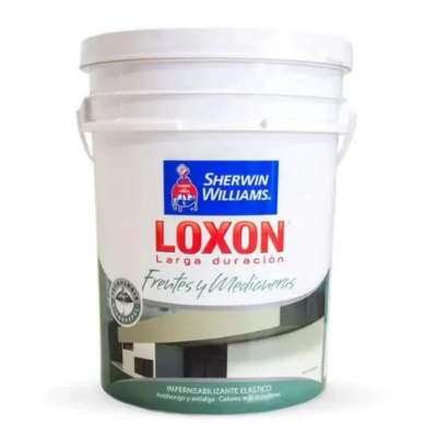 20 lts Loxon Frentes y medianeras Blanco